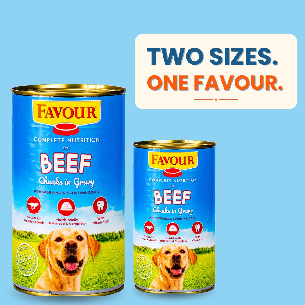 Favour with Beef Chunks in Gravy
