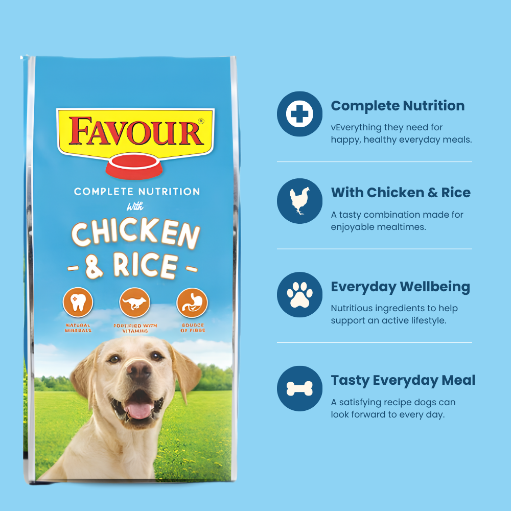 Favour Original With Chicken & Rice