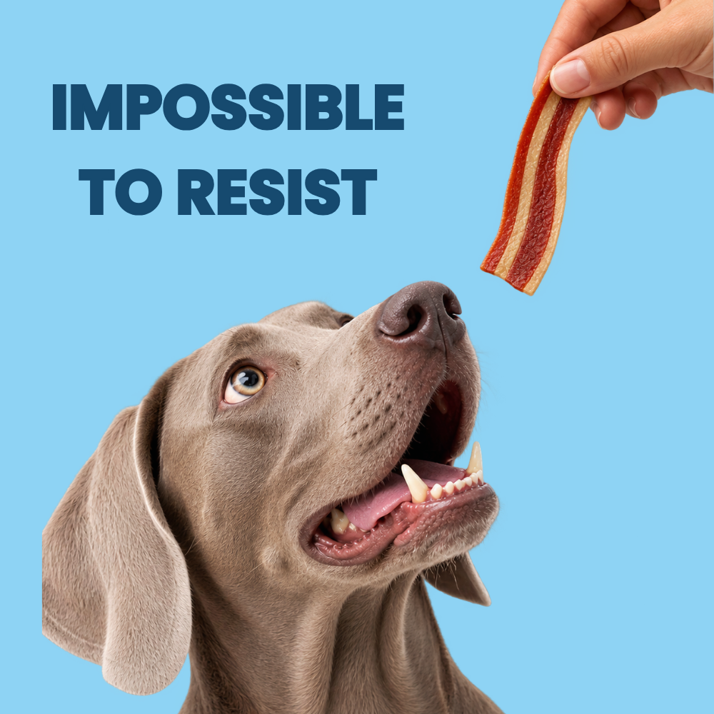 Favour Bacon Rashers