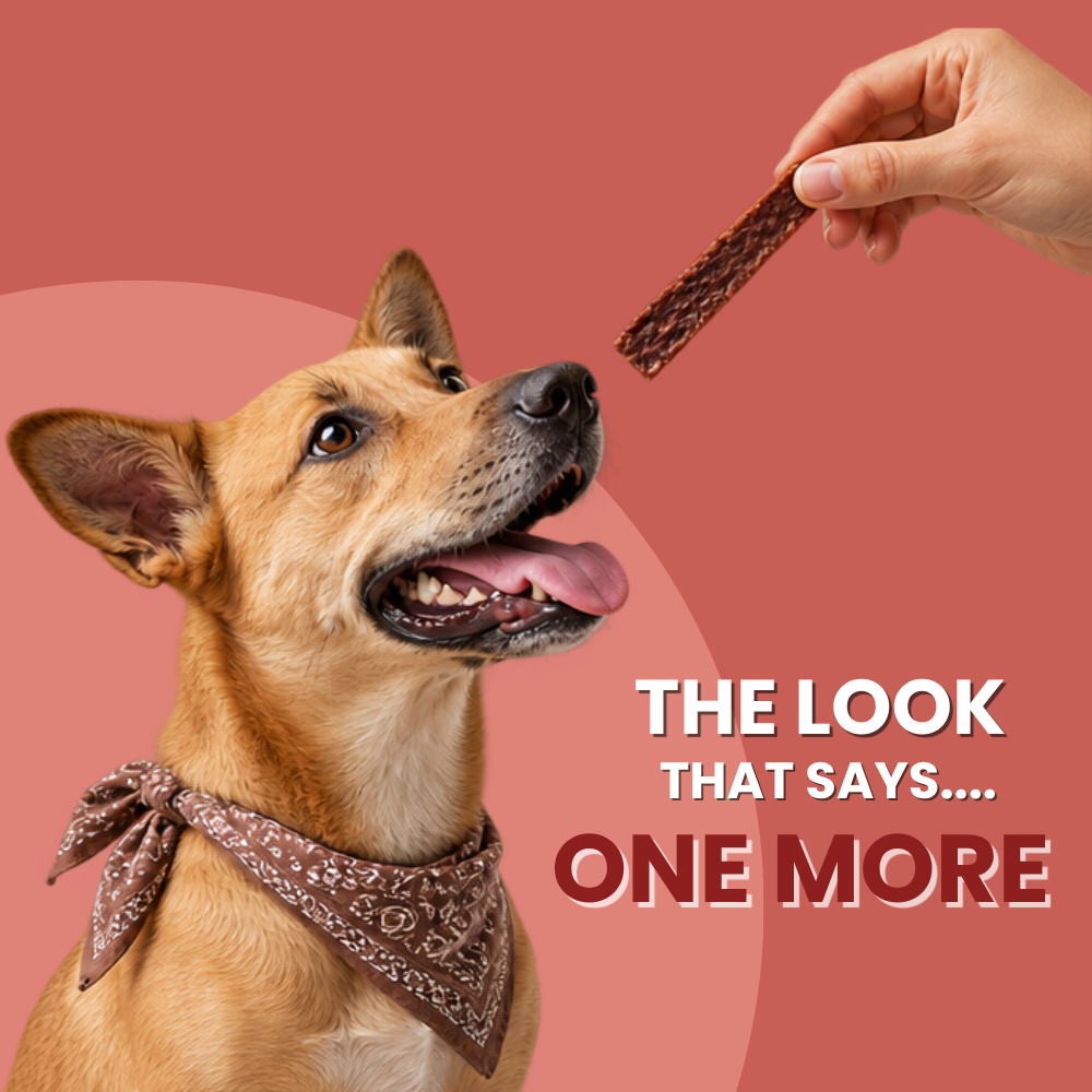 Favour Beef Jerky Strips