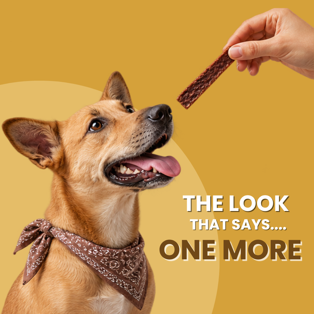 Favour Chicken Jerky Strips
