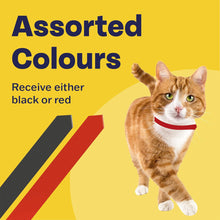 Load image into Gallery viewer, Bob Martin Clear Flea Repellent Collar Twin Pack for Cats and Kittens
