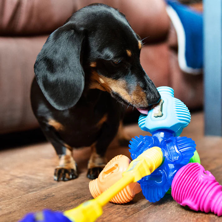 K9Connectables Dog Toys - Brain Teaser