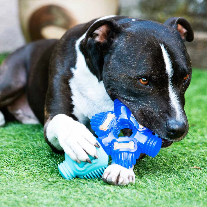 K9Connectables Dog Toys - Brain Teaser