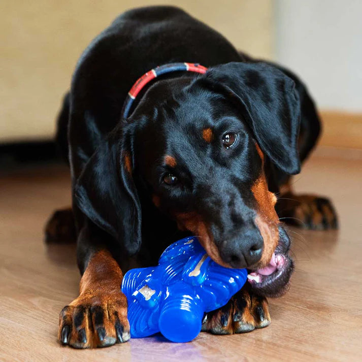 K9Connectables Dog Toys - Brain Teaser