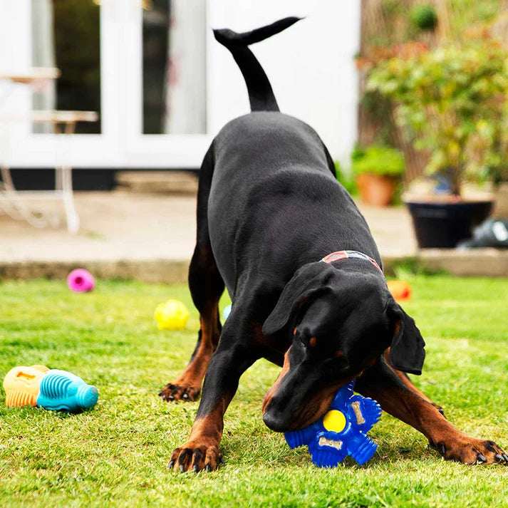 K9Connectables Dog Toys - Brain Teaser