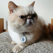 Load image into Gallery viewer, FetchTag Smart Pet Tag Digital ID Collar Tag for Cats &amp; Dogs
