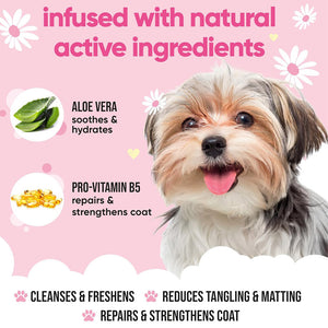 Buddycare Baby Fresh Dog Shampoo 500ml