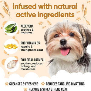 Buddycare Oatmeal Dog Shampoo 500ml
