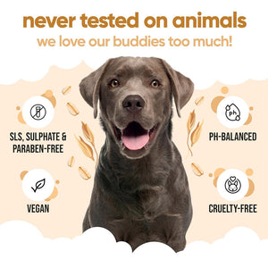 Buddycare Oatmeal Dog Shampoo 500ml