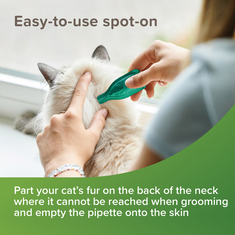 Beaphar Cat Flea Spot On 12 or 24 Week Prevention