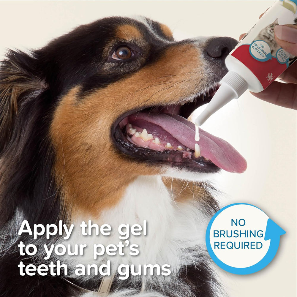 Beaphar Tooth Gel for Dogs & Cats 100g