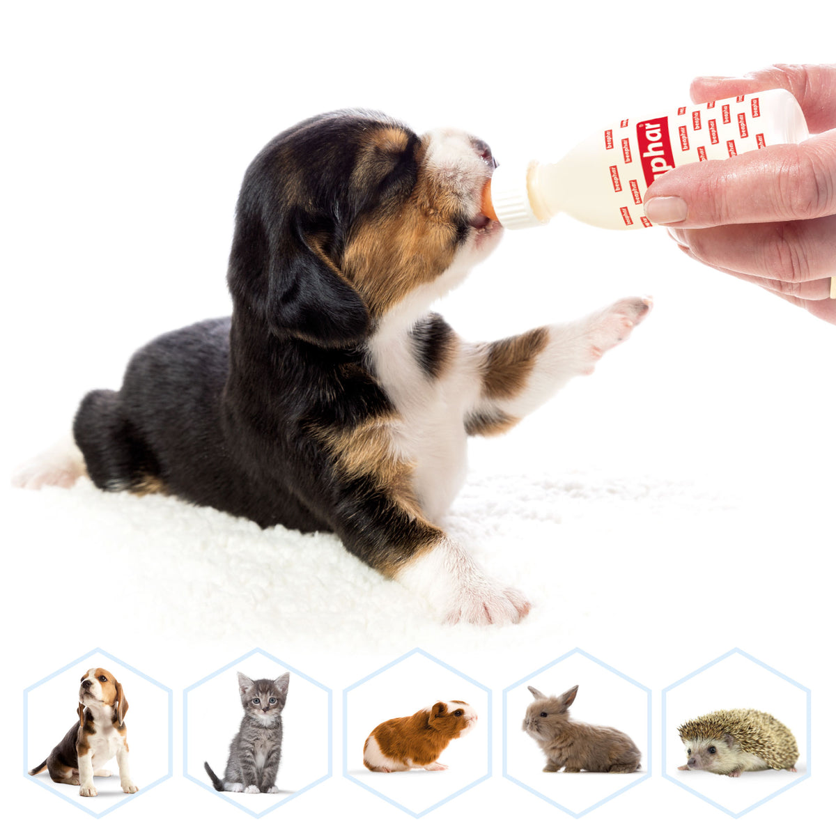 Beaphar Lactol Milk Feeding Set For Kittens, Puppies & Small Animals