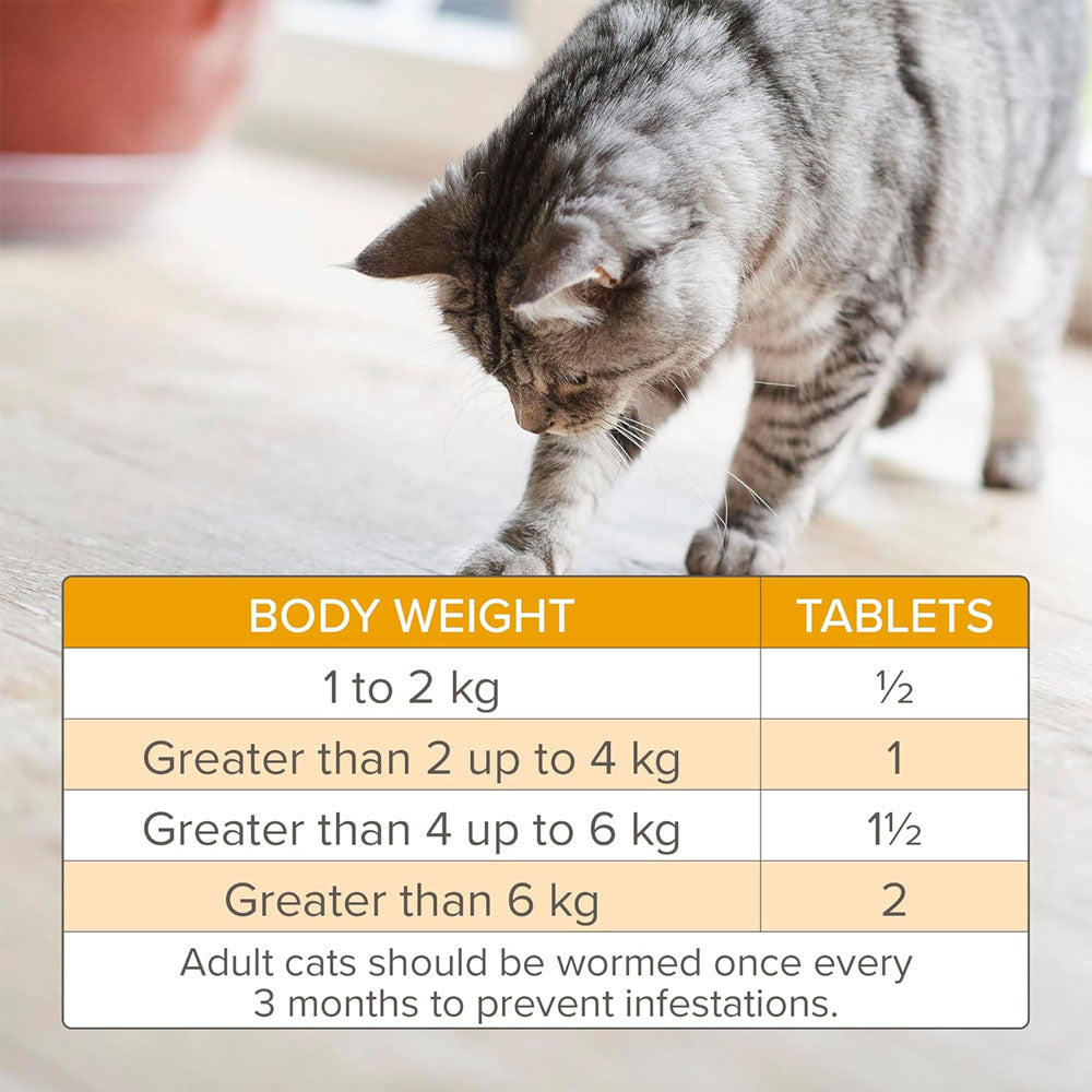 Beaphar Worm Clear Tablets for Cats and Kittens