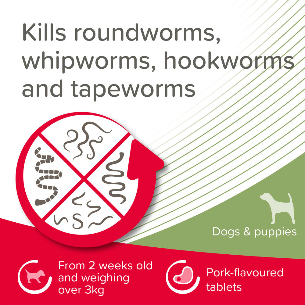 Beaphar WORMclear Tablets for Dogs