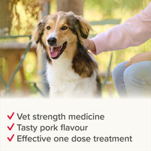 Load image into Gallery viewer, Beaphar WORMclear Tablets for Dogs
