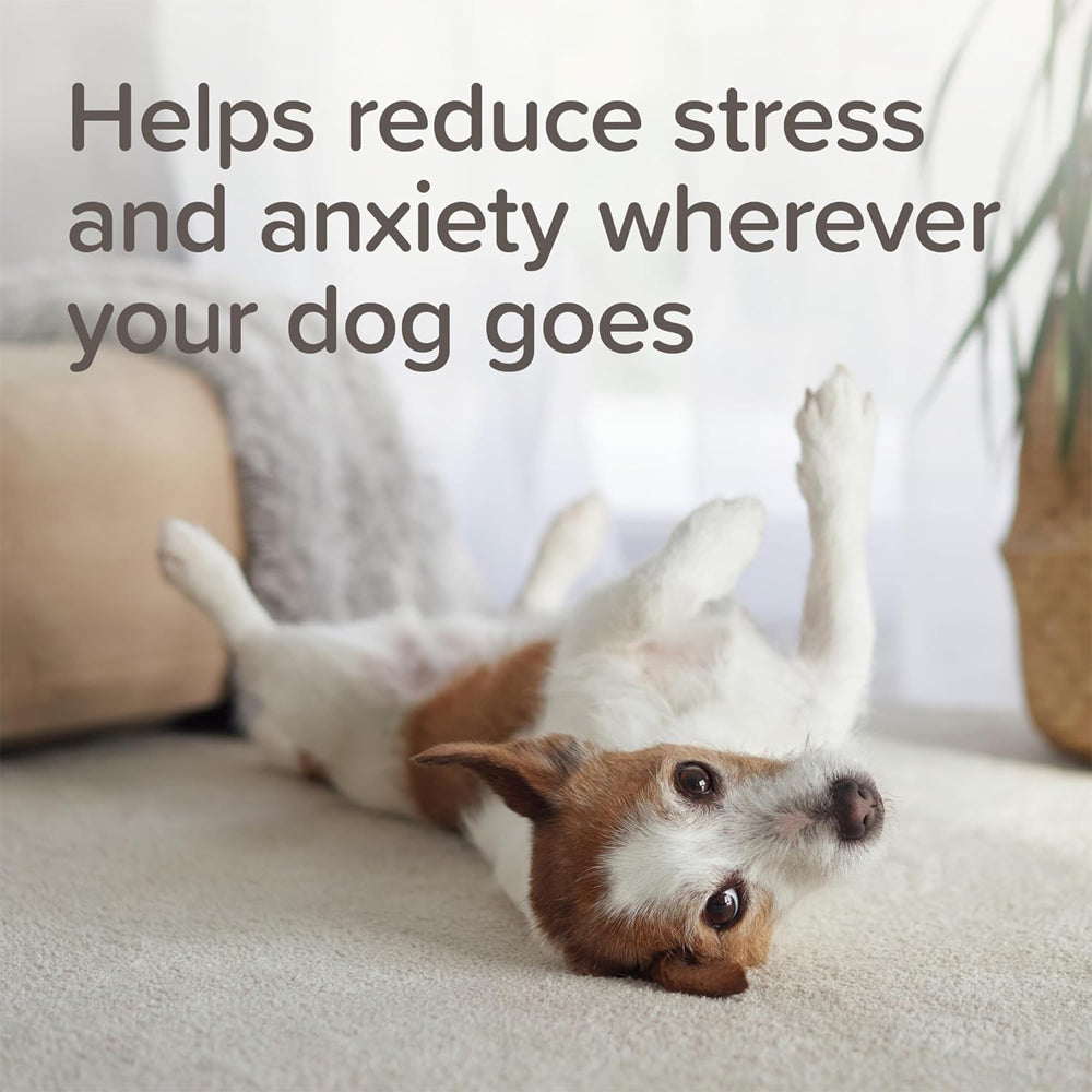 Beaphar Calming Spot On for Dogs