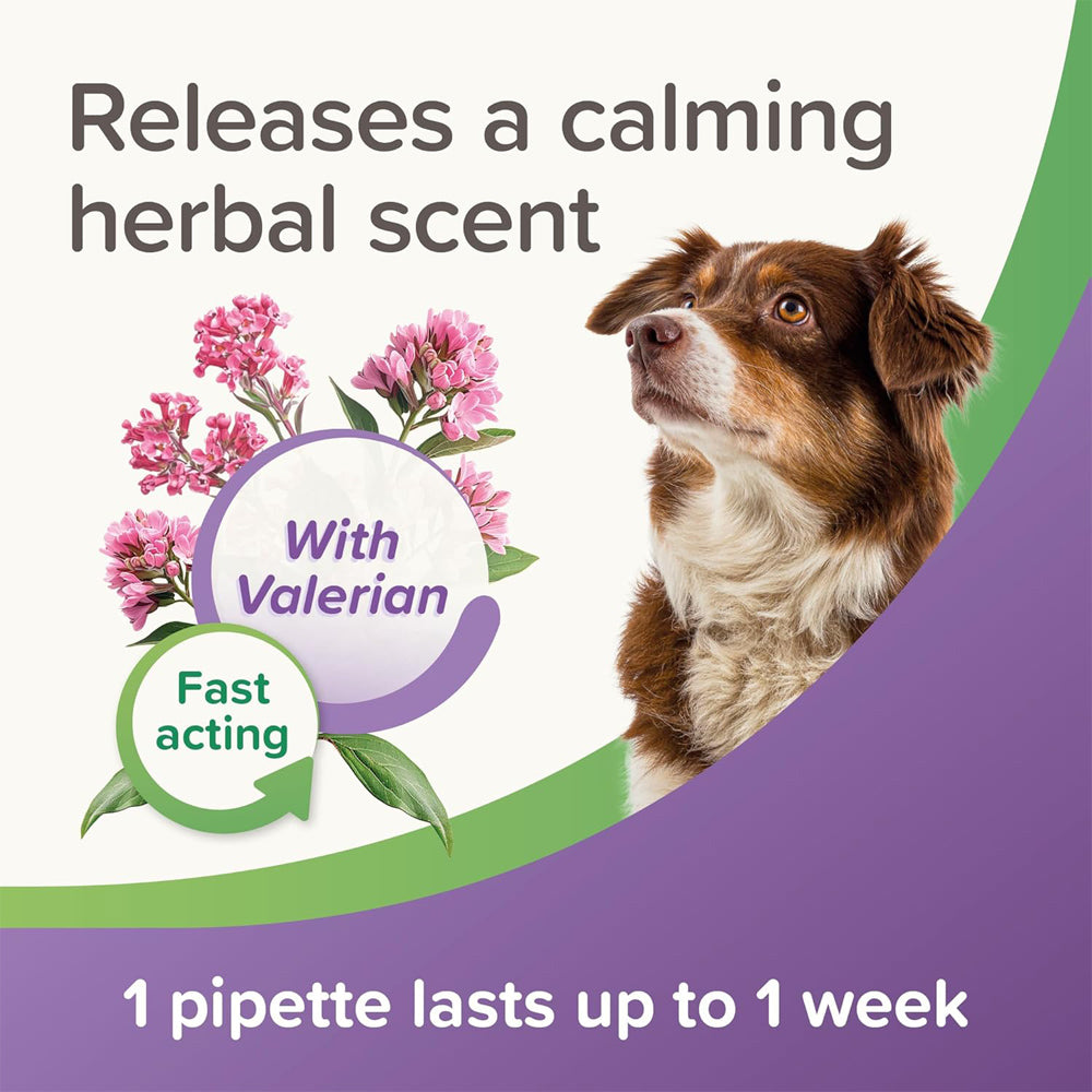 Beaphar Calming Spot On for Dogs