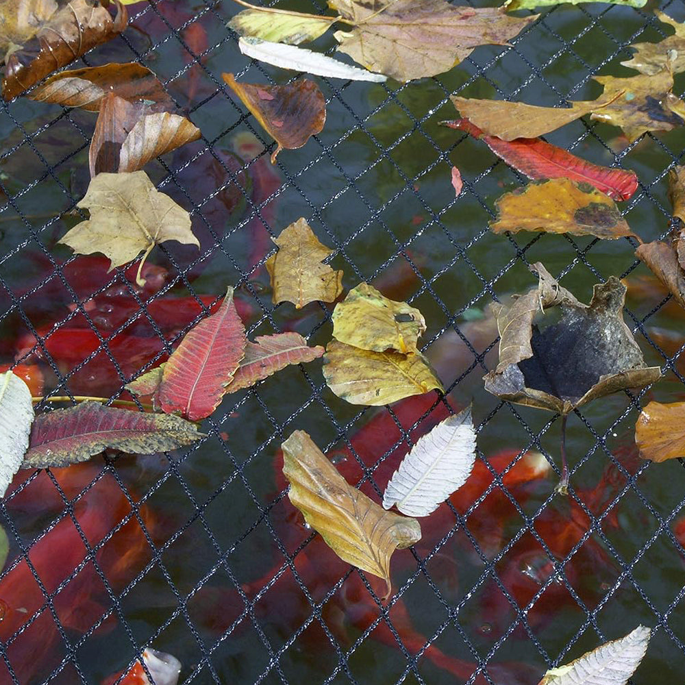 Blagdon Pond Cover Netting Fine Mesh Pond Protection with Pegs (3m x 2m)