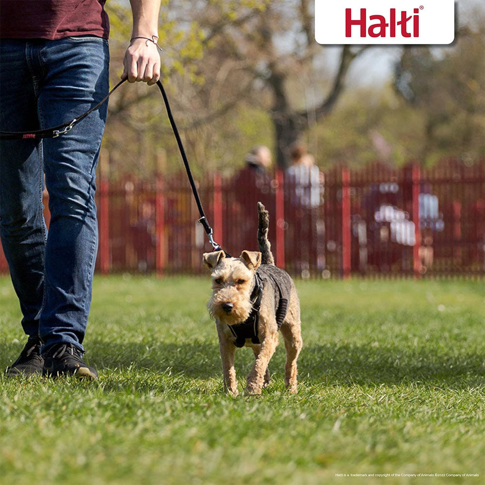 Company Of Animals Halti No Pull Harness for Dogs, Small, Medium & Large