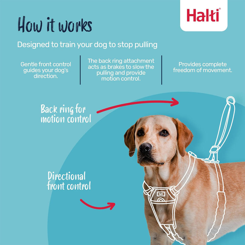 Company Of Animals Halti No Pull Harness for Dogs, Small, Medium & Large