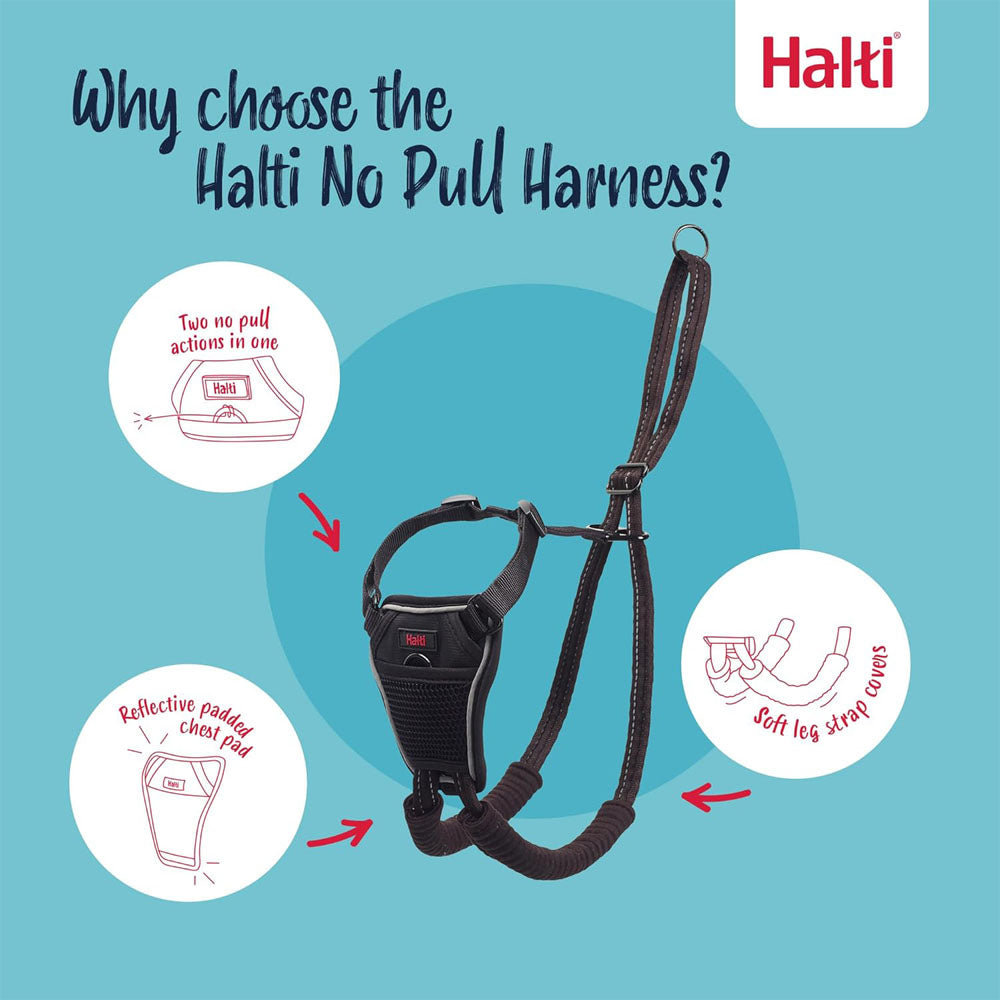 Company Of Animals Halti No Pull Harness for Dogs, Small, Medium & Large