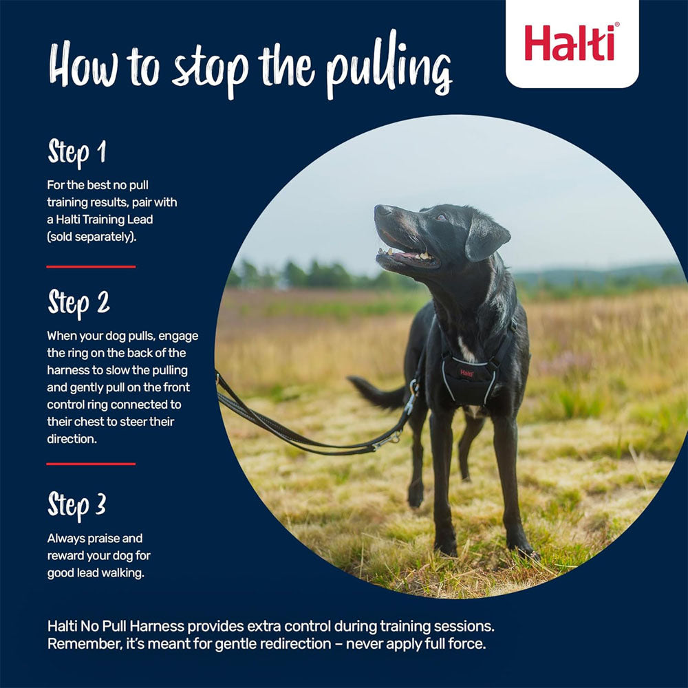 Company Of Animals Halti No Pull Harness for Dogs, Small, Medium & Large