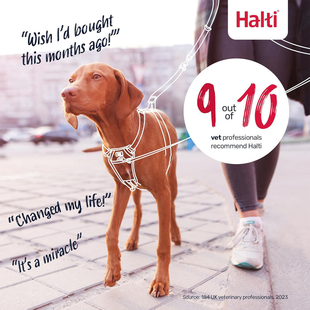 Company Of Animals Halti No Pull Harness for Dogs, Small, Medium & Large