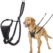Load image into Gallery viewer, Company Of Animals Halti No Pull Harness for Dogs, Small, Medium &amp; Large
