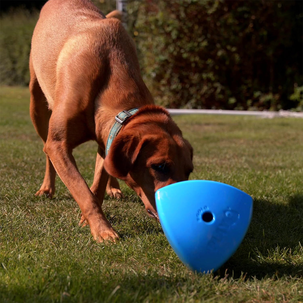 Roolo Interactive Treat Dispensing Dog Toy