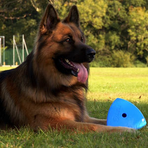 Roolo Interactive Treat Dispensing Dog Toy