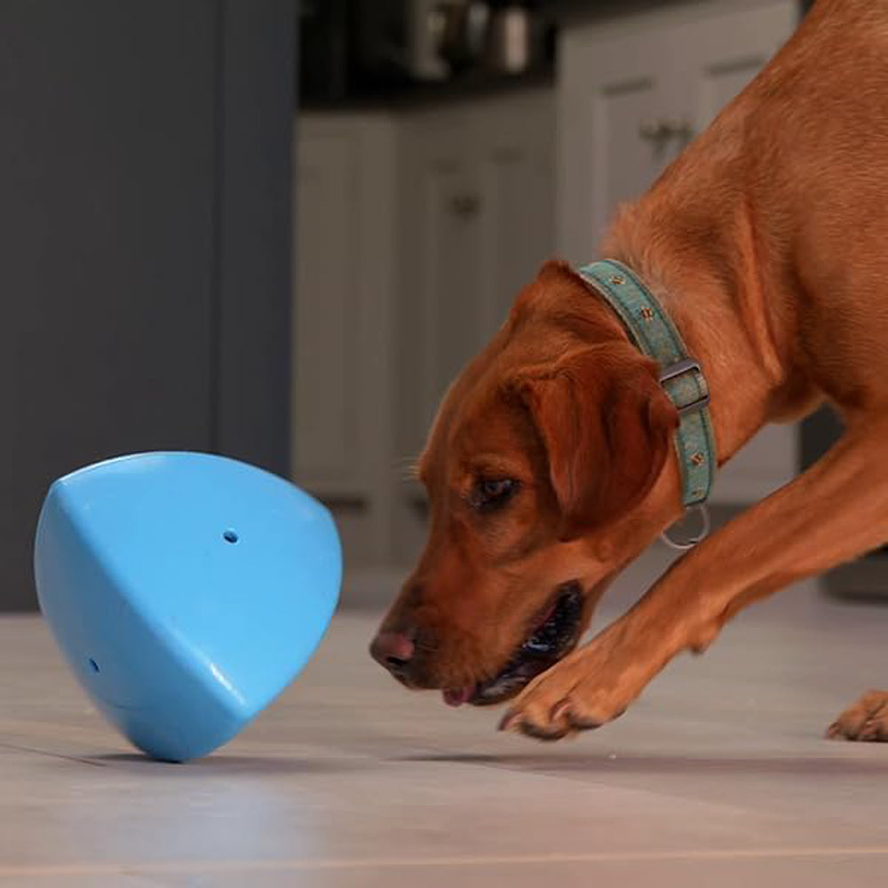 Roolo Interactive Treat Dispensing Dog Toy