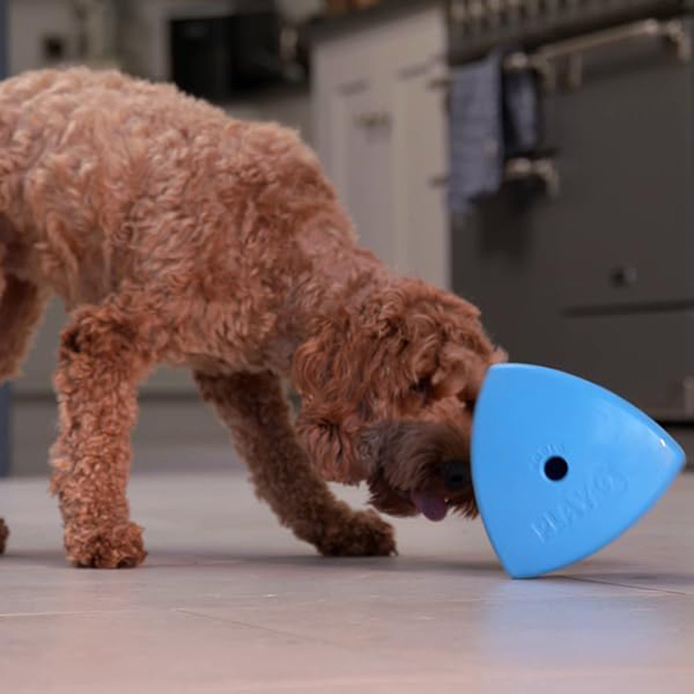 Roolo Interactive Treat Dispensing Dog Toy