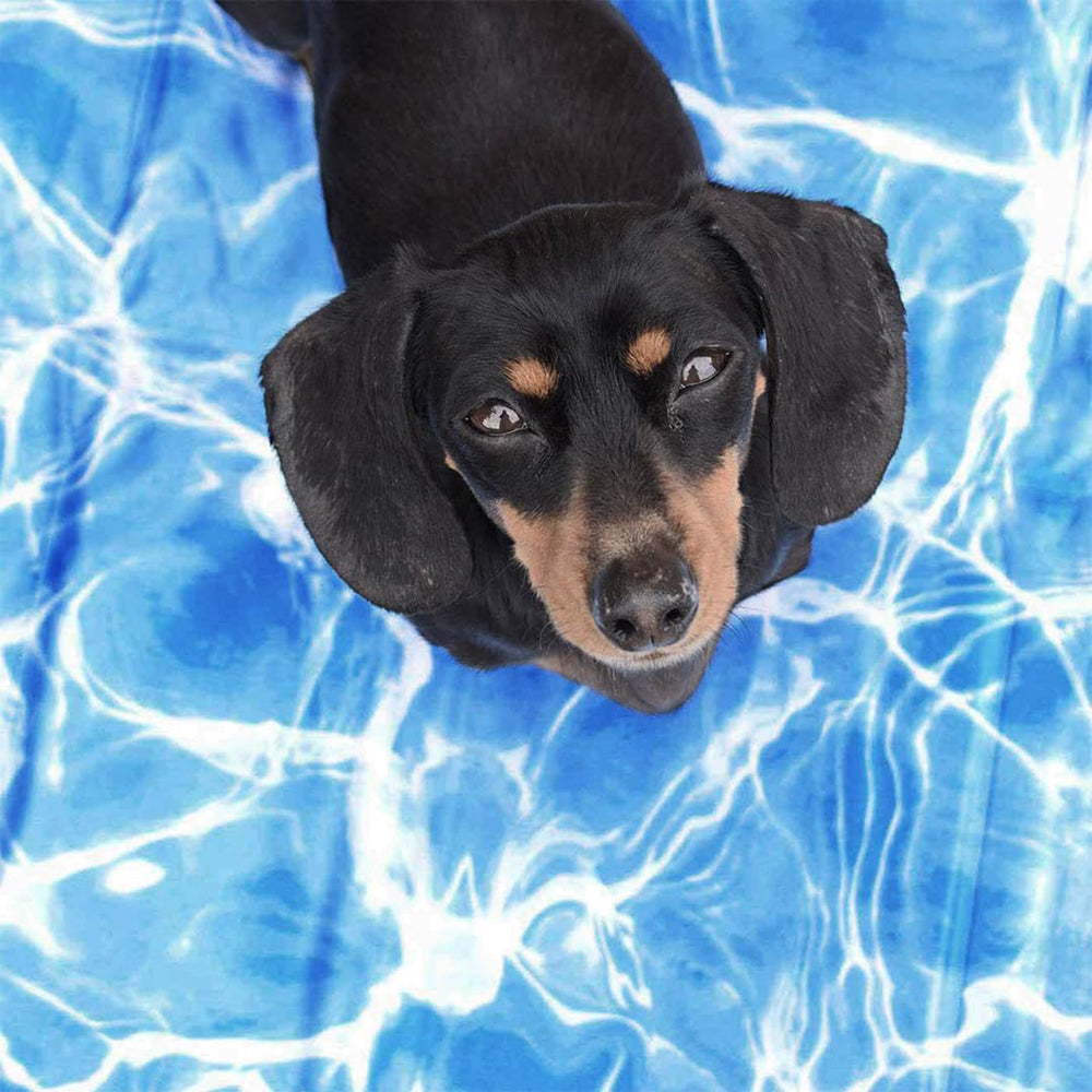 All For Paws Chill Out Always Cool Dog Mat – Medium