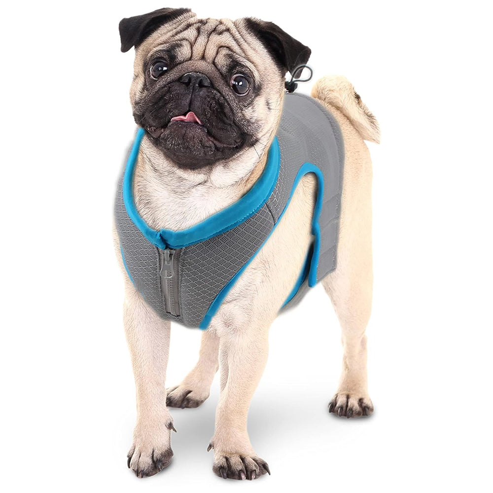 All For Paws Chill Out Summer Cooling Vest for Chill Dogs