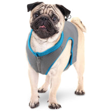 Load image into Gallery viewer, All For Paws Chill Out Summer Cooling Vest for Chill Dogs
