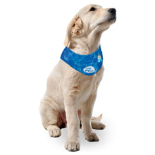 Load image into Gallery viewer, All For Paws Chill Out Ice Bandana Collar for Cooling Dogs
