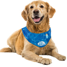 Load image into Gallery viewer, All For Paws Chill Out Ice Bandana Collar for Cooling Dogs
