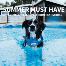 Load image into Gallery viewer, All For Paws Chill Out Ice Bandana Collar for Cooling Dogs
