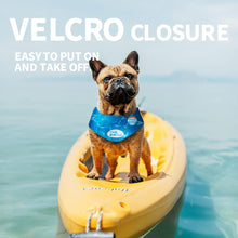Load image into Gallery viewer, All For Paws Chill Out Ice Bandana Collar for Cooling Dogs
