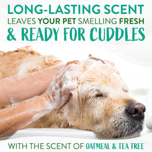 Load image into Gallery viewer, TropiClean Medicated Oatmeal Tea Tree Itch Relief Shampoo for Cats &amp; Dogs 335ml
