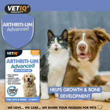 Load image into Gallery viewer, VETIQ Advanced Hip &amp; Joint Care Tablets for Cats &amp; Dogs
