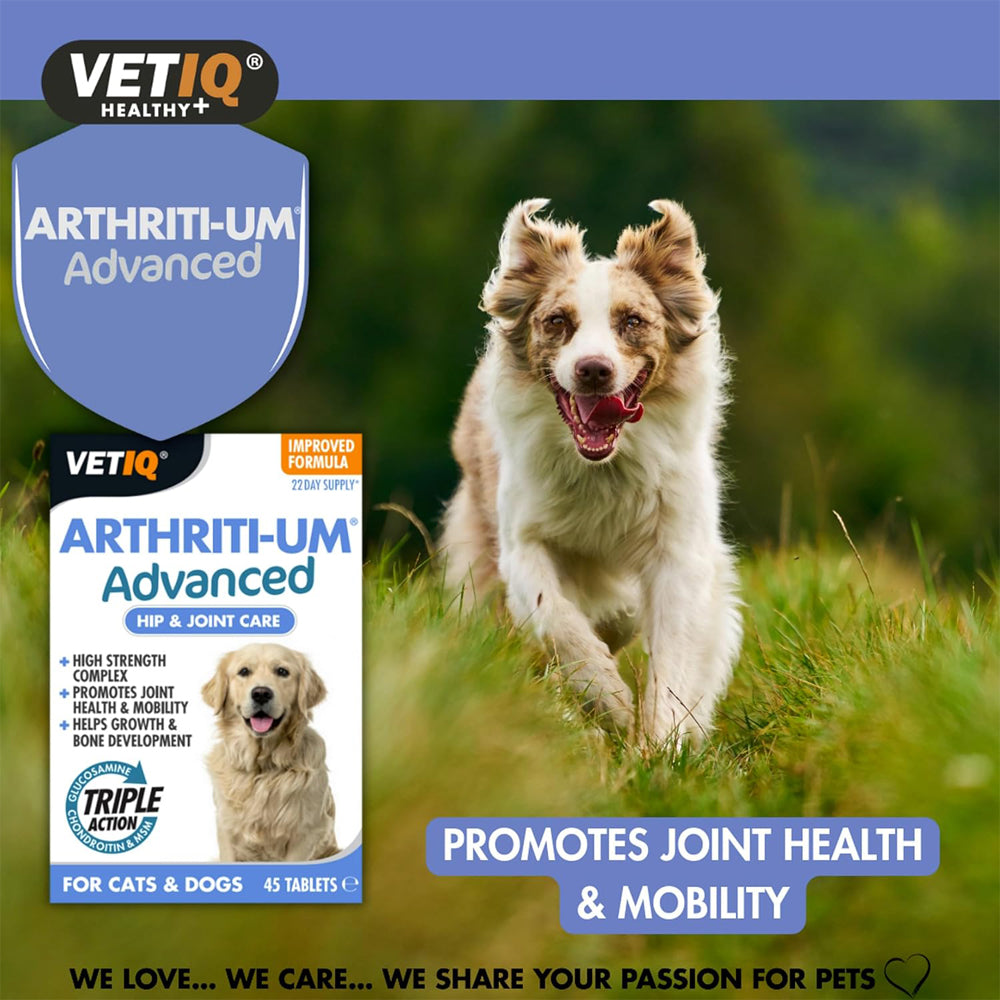 VETIQ Advanced Hip & Joint Care Tablets for Cats & Dogs