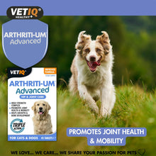 Load image into Gallery viewer, VETIQ Advanced Hip &amp; Joint Care Tablets for Cats &amp; Dogs
