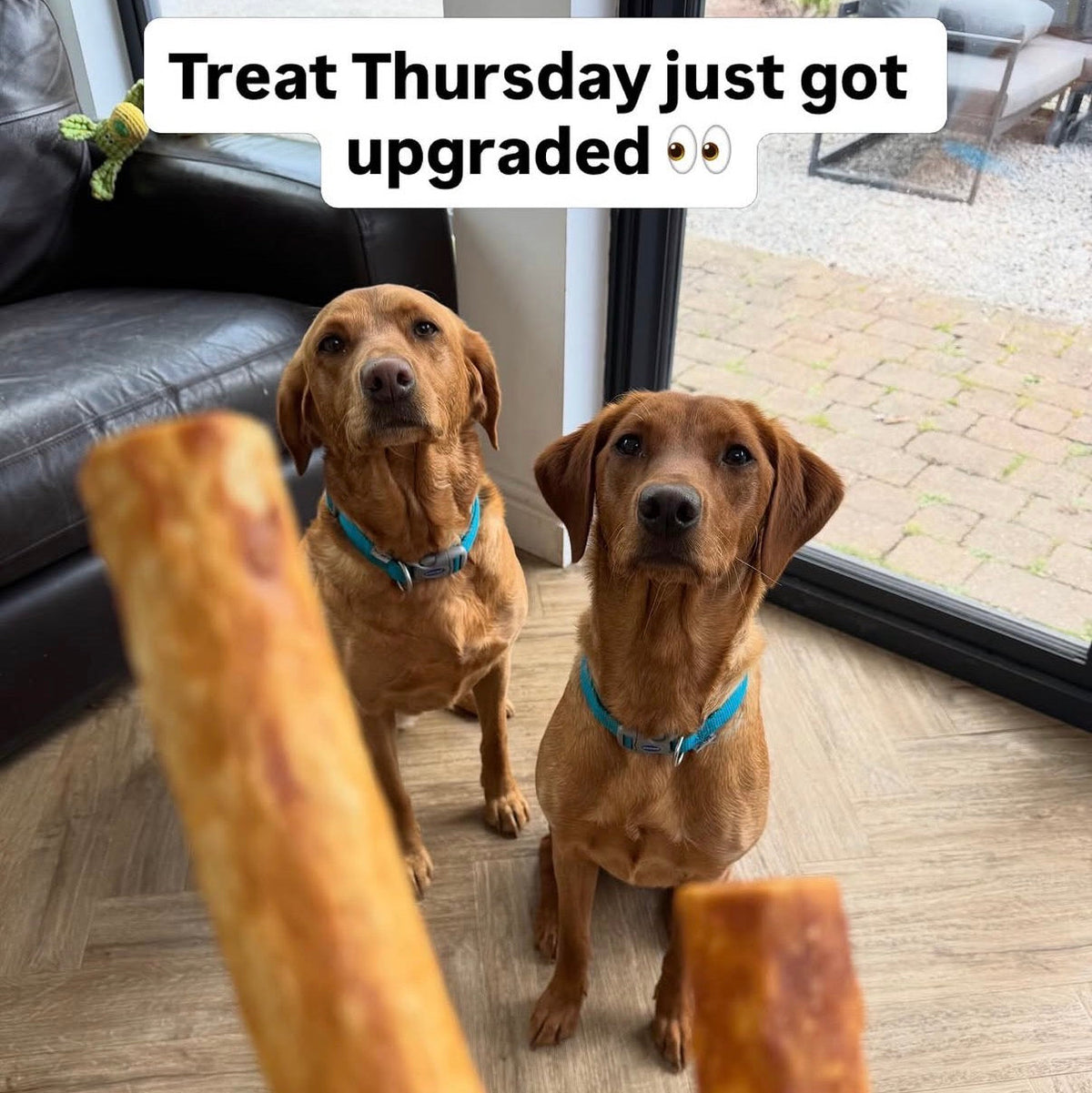 Favour Pet Foods