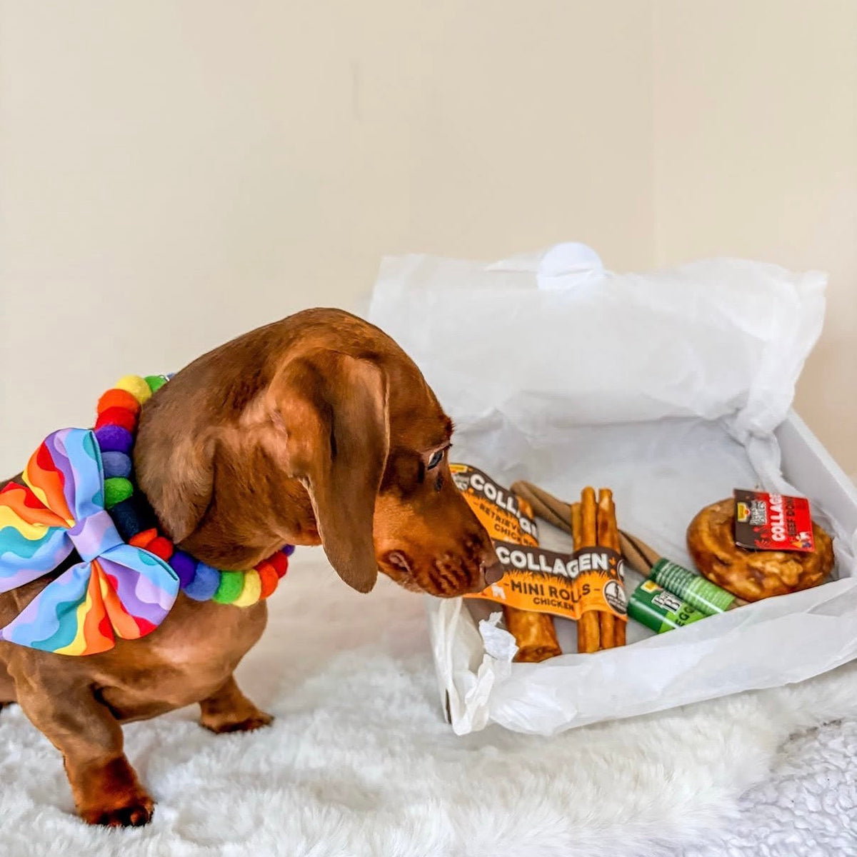 Favour Pet Foods