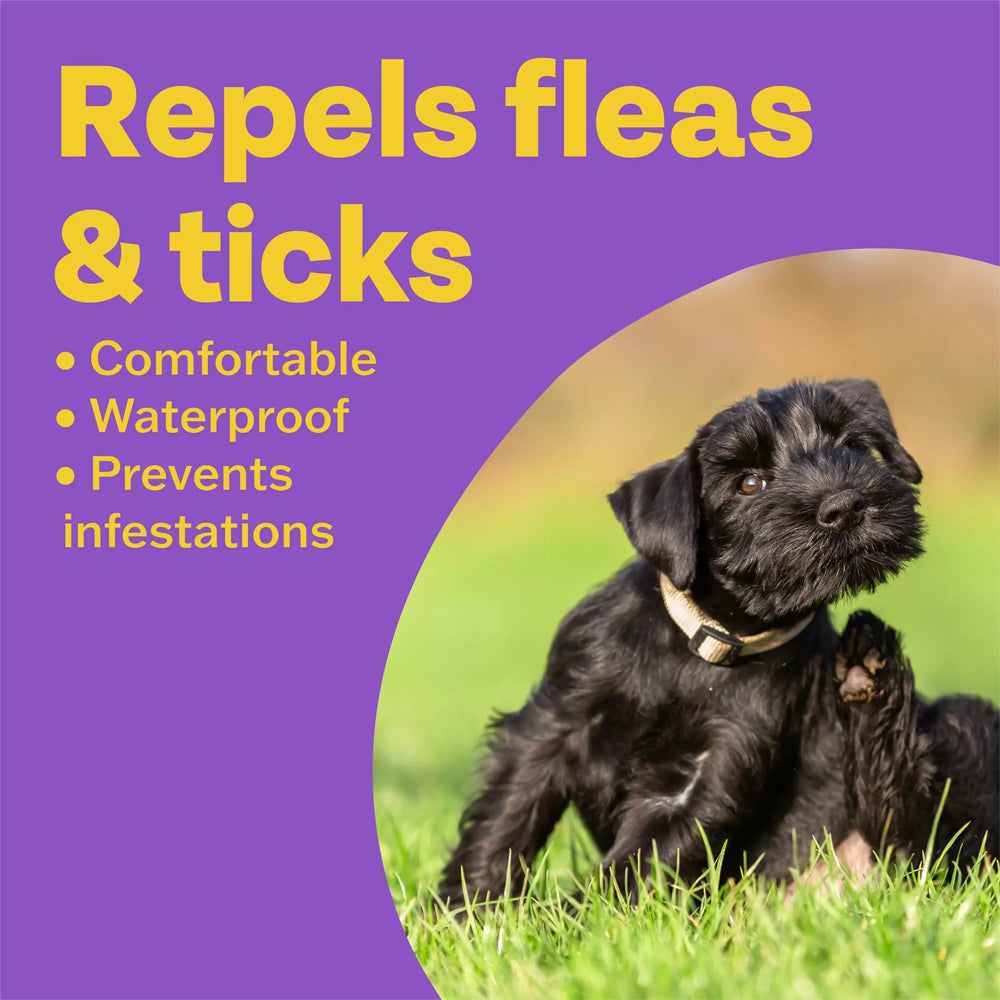 Bob Martin Clear Flea & Tick Repellent Collar for Dogs
