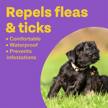 Load image into Gallery viewer, Bob Martin Clear Flea &amp; Tick Repellent Collar for Dogs
