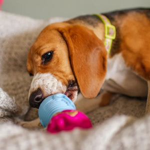 K9Connectables Dog Toys - The Dentist