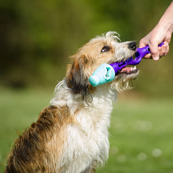 K9Connectables Dog Toys - The Dentist